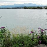 1107G 064 Bodensee Radweg